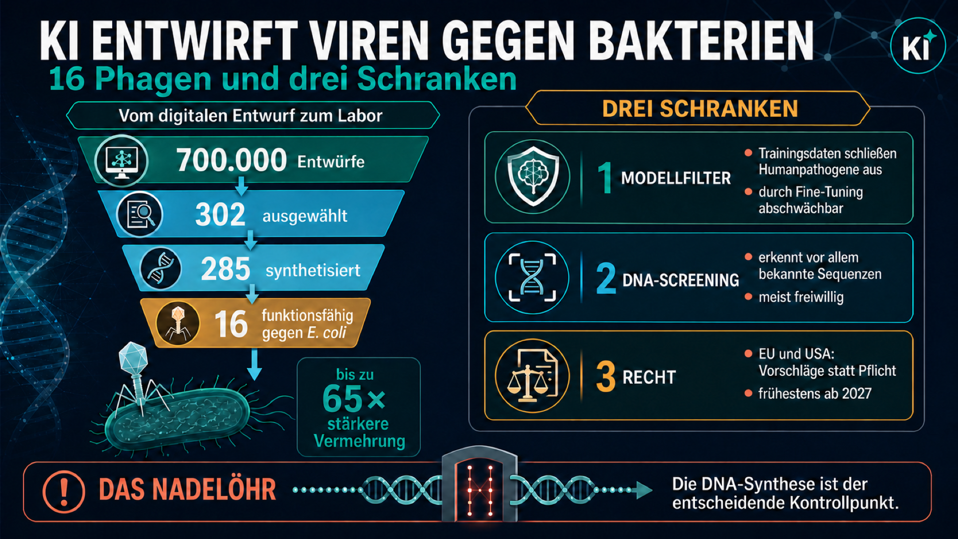 KI entwirft Viren: 16 Phagen und drei Schranken